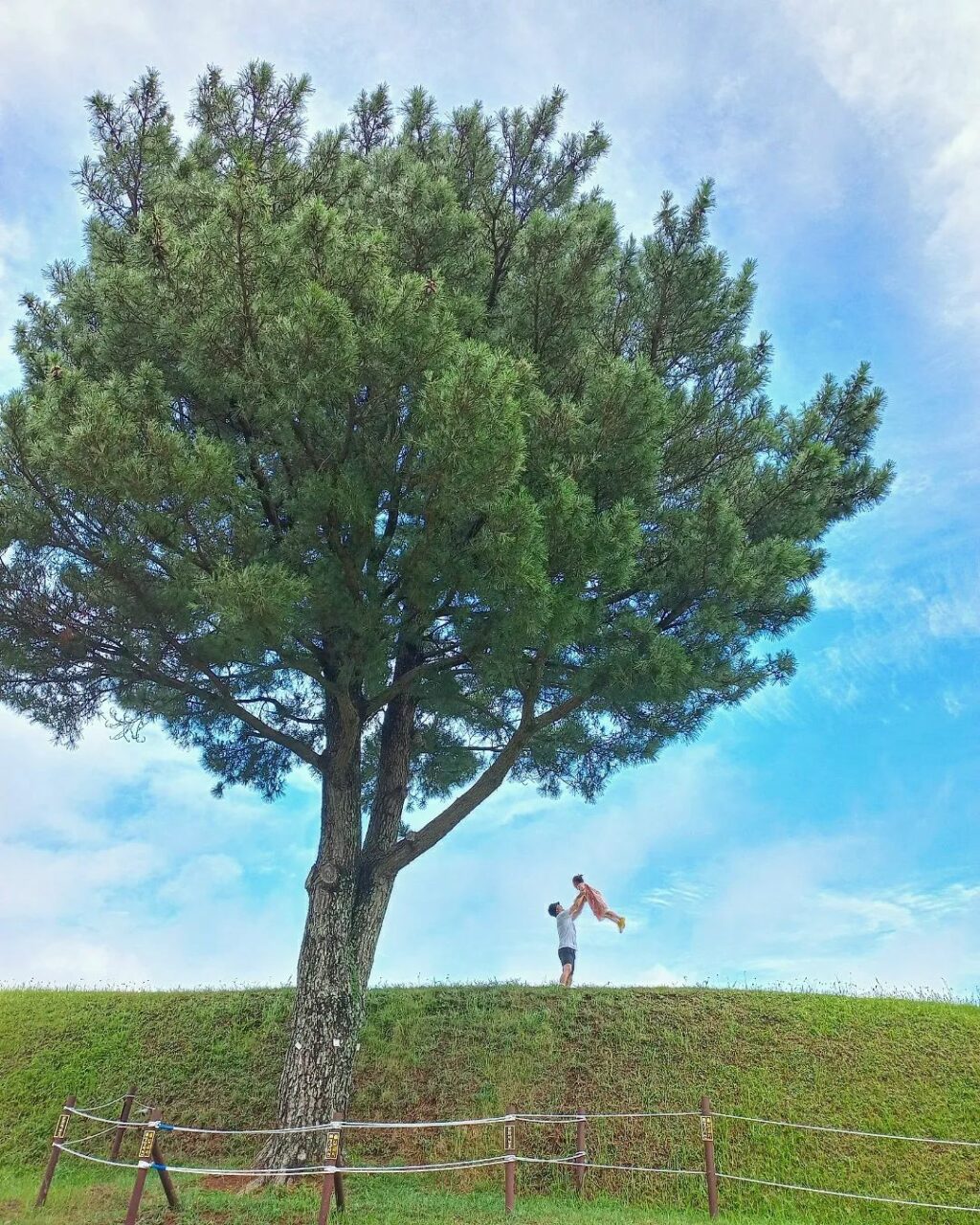 제주 출사 여행을 위한 아름다운 제주 여행지 37 항파두리 항몽유적지, Photo from juhwan1210 instagram