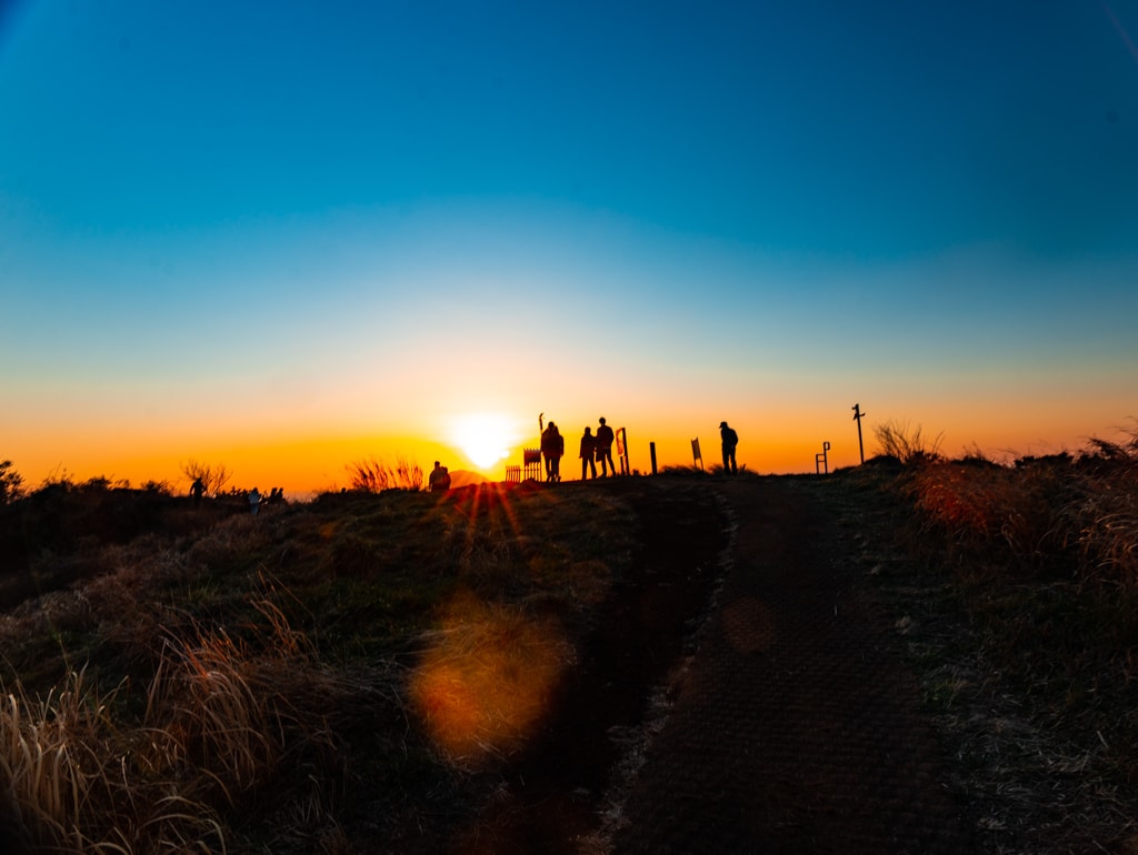 실망 속 봄 희망을 듣다, 23년 2월 제주 여행기 20