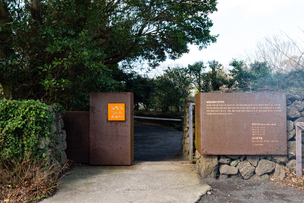 실망 속 봄 희망을 듣다, 23년 2월 제주 여행기 47