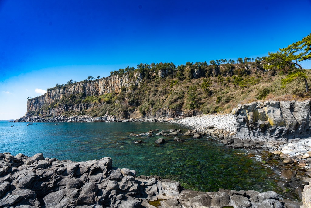 실망 속 봄 희망을 듣다, 23년 2월 제주 여행기 23