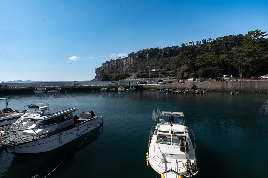 실망 속 봄 희망을 듣다, 23년 2월 제주 여행기 25