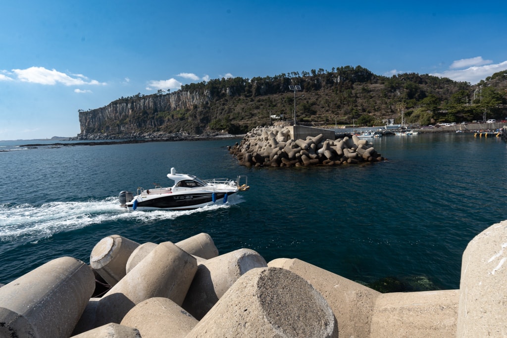 실망 속 봄 희망을 듣다, 23년 2월 제주 여행기 26