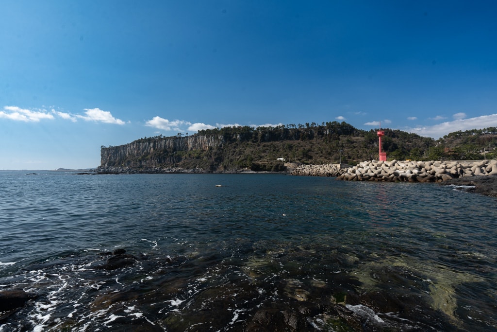 실망 속 봄 희망을 듣다, 23년 2월 제주 여행기 24