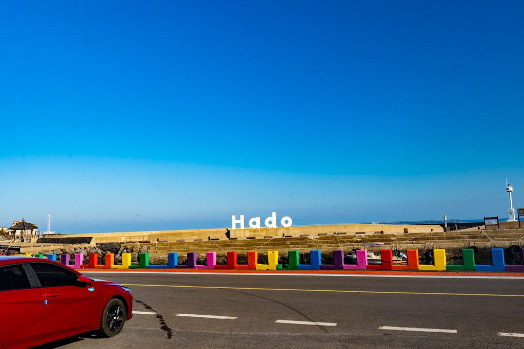 제주스러운 유채꽃 명소, 별방진 유채꽃 10