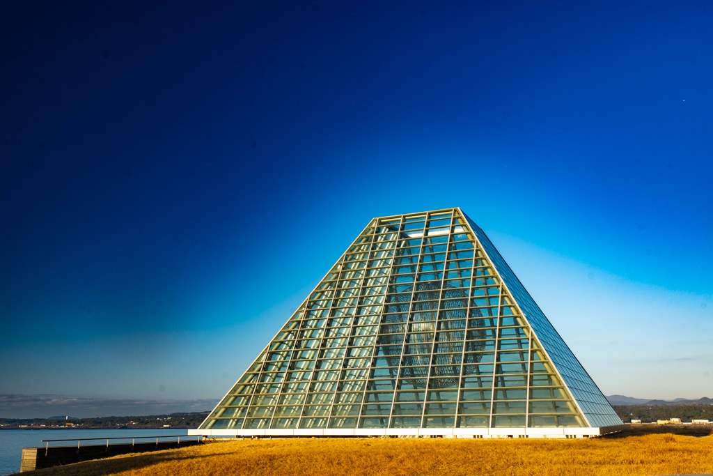 실망 속 봄 희망을 듣다, 23년 2월 제주 여행기 43