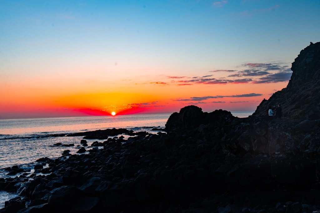 실망 속 봄 희망을 듣다, 23년 2월 제주 여행기 37