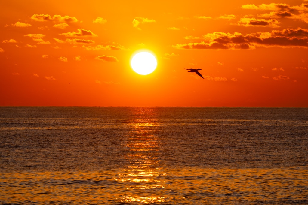 실망 속 봄 희망을 듣다, 23년 2월 제주 여행기 38