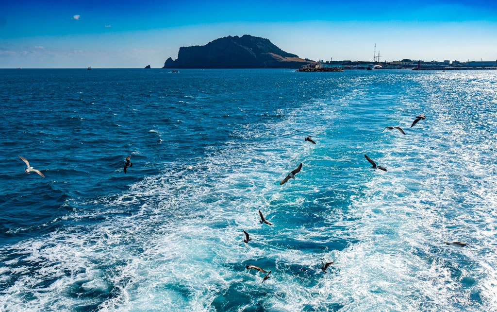 실망 속 봄 희망을 듣다, 23년 2월 제주 여행기 51