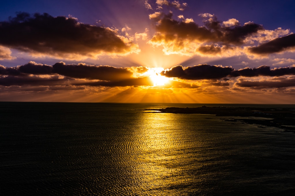 실망 속 봄 희망을 듣다, 23년 2월 제주 여행기 15