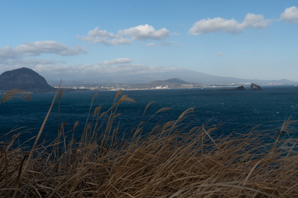 실망 속 봄 희망을 듣다, 23년 2월 제주 여행기 14