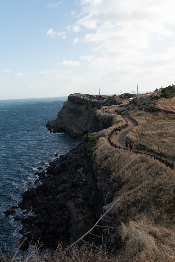 실망 속 봄 희망을 듣다, 23년 2월 제주 여행기 12