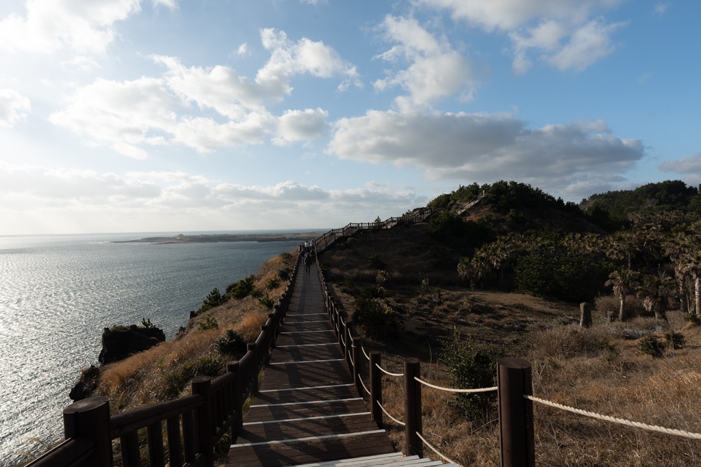 실망 속 봄 희망을 듣다, 23년 2월 제주 여행기 13