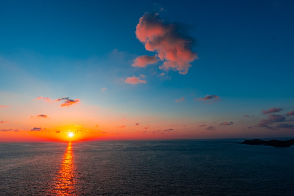 실망 속 봄 희망을 듣다, 23년 2월 제주 여행기 33