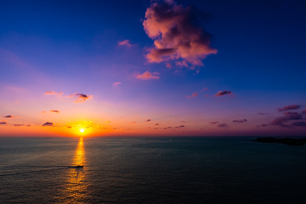 실망 속 봄 희망을 듣다, 23년 2월 제주 여행기 34