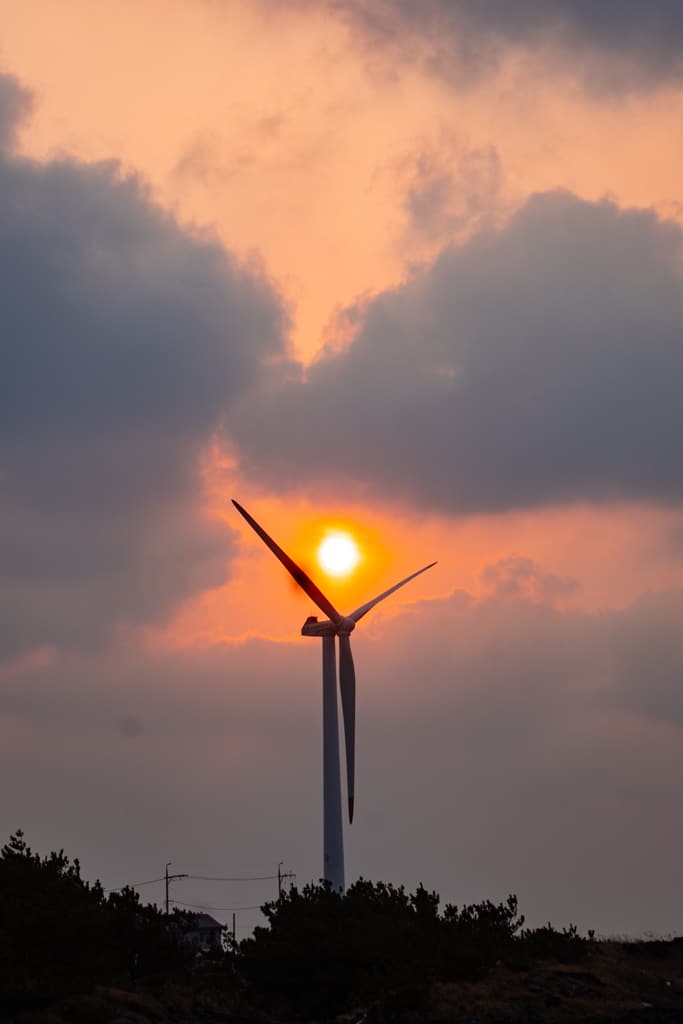 실망 속 봄 희망을 듣다, 23년 2월 제주 여행기 59