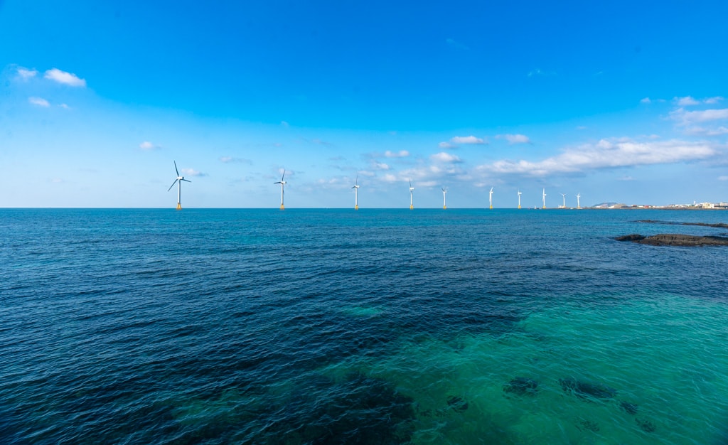 실망 속 봄 희망을 듣다, 23년 2월 제주 여행기 27