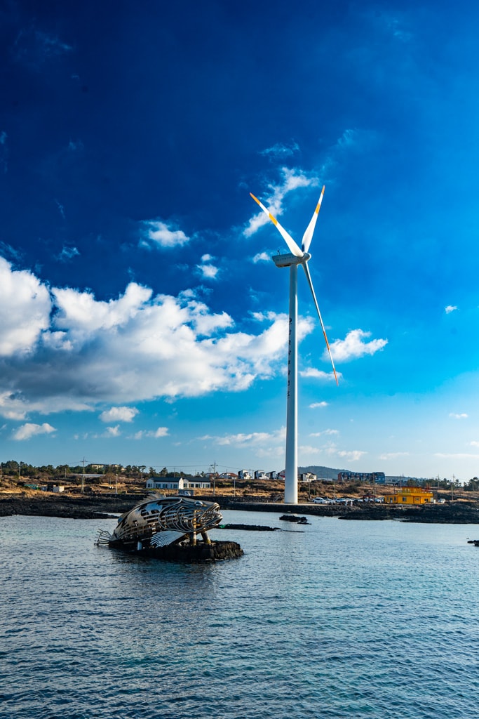 실망 속 봄 희망을 듣다, 23년 2월 제주 여행기 29