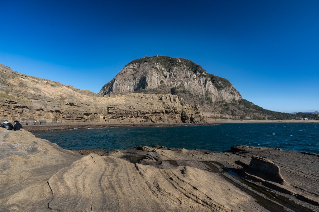 실망 속 봄 희망을 듣다, 23년 2월 제주 여행기 16