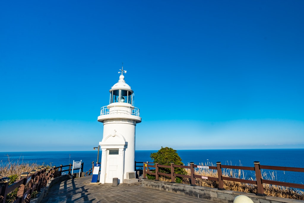 실망 속 봄 희망을 듣다, 23년 2월 제주 여행기 54