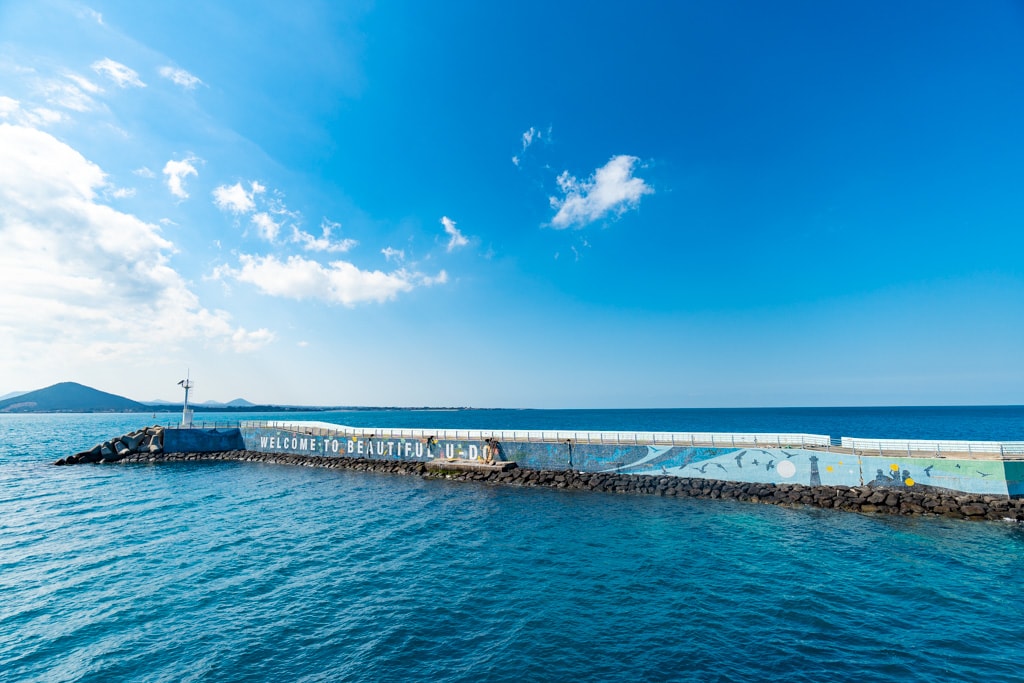 실망 속 봄 희망을 듣다, 23년 2월 제주 여행기 52