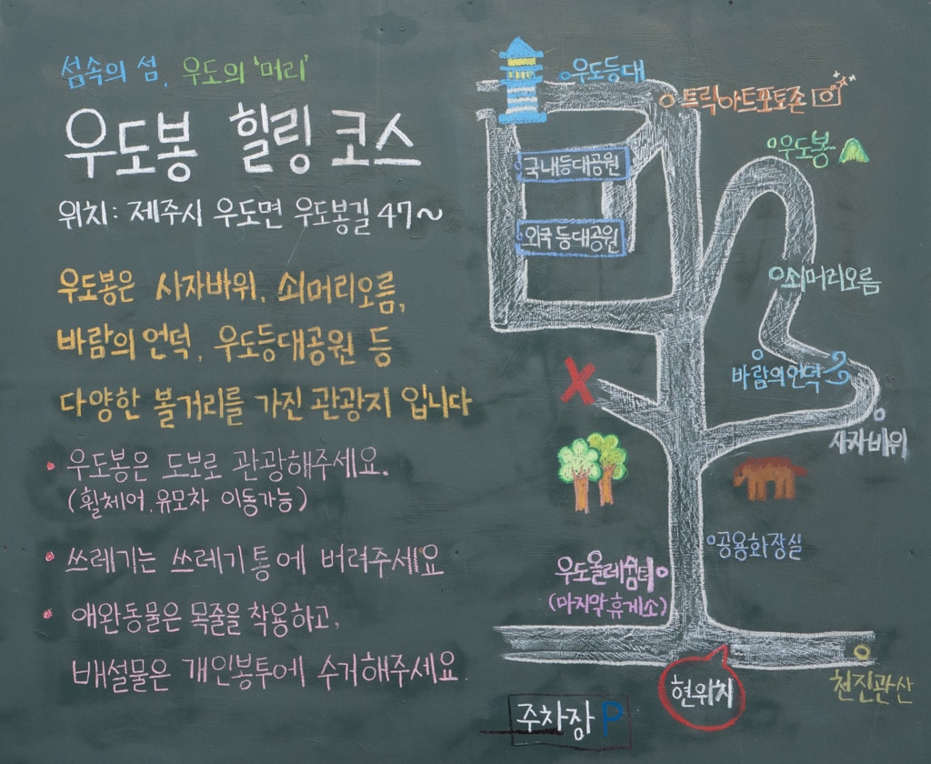 실망 속 봄 희망을 듣다, 23년 2월 제주 여행기 53