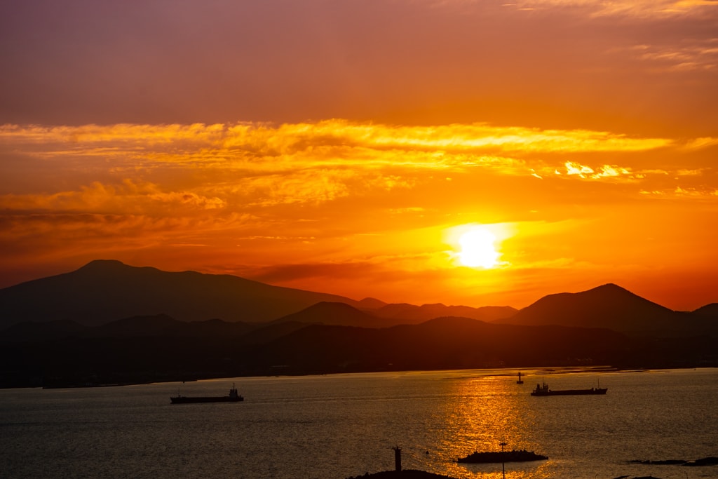 실망 속 봄 희망을 듣다, 23년 2월 제주 여행기 55