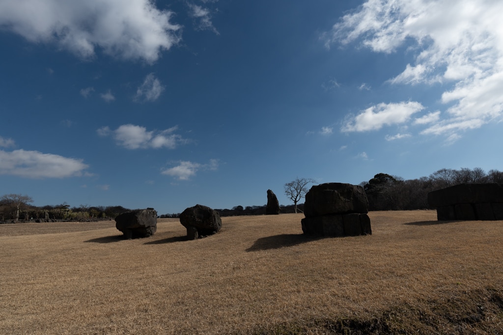 실망 속 봄 희망을 듣다, 23년 2월 제주 여행기 11