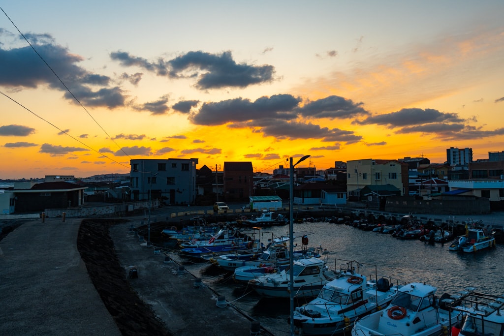 실망 속 봄 희망을 듣다, 23년 2월 제주 여행기 60