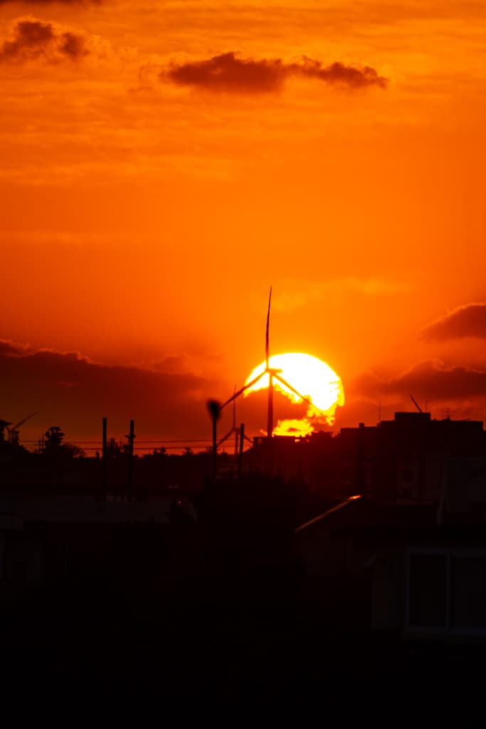 실망 속 봄 희망을 듣다, 23년 2월 제주 여행기 62