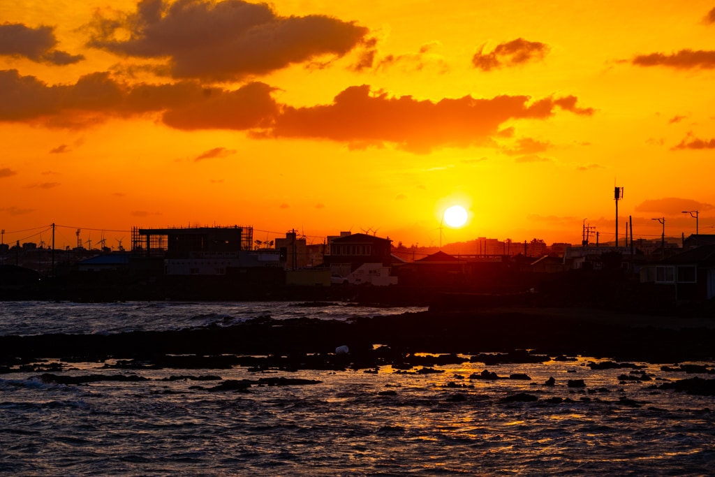 실망 속 봄 희망을 듣다, 23년 2월 제주 여행기 61