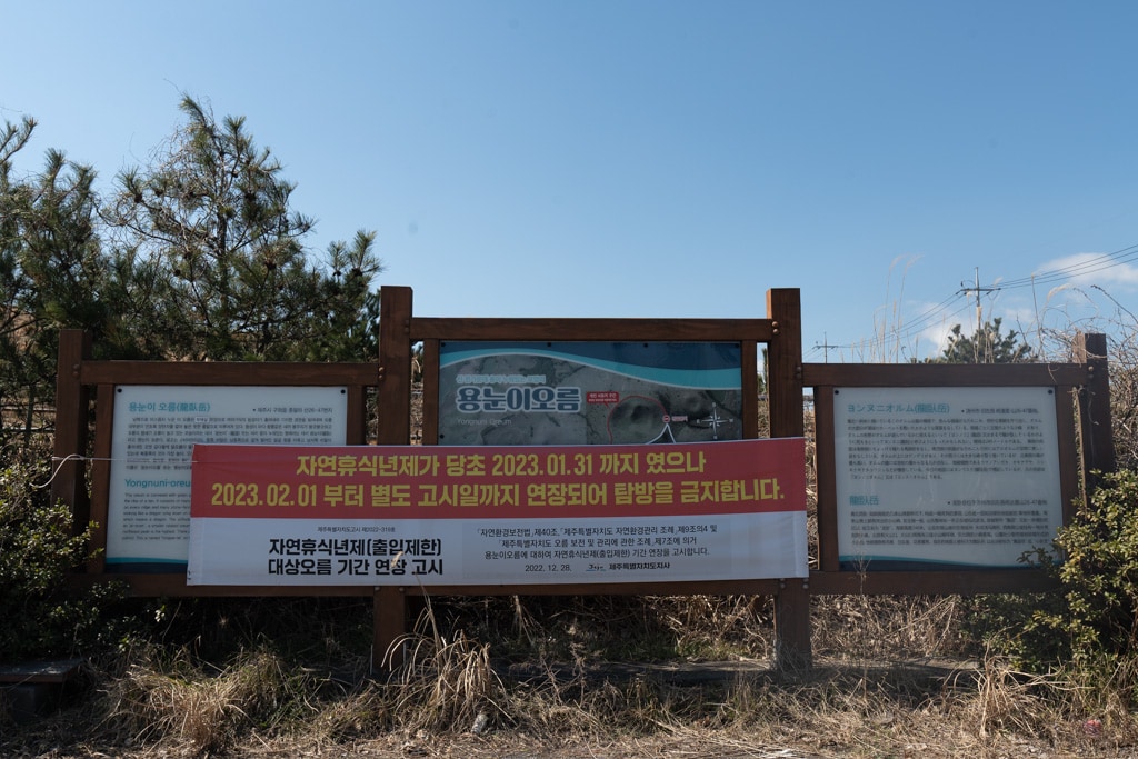 실망 속 봄 희망을 듣다, 23년 2월 제주 여행기 49