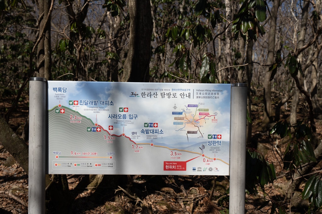 실망 속 봄 희망을 듣다, 23년 2월 제주 여행기 17