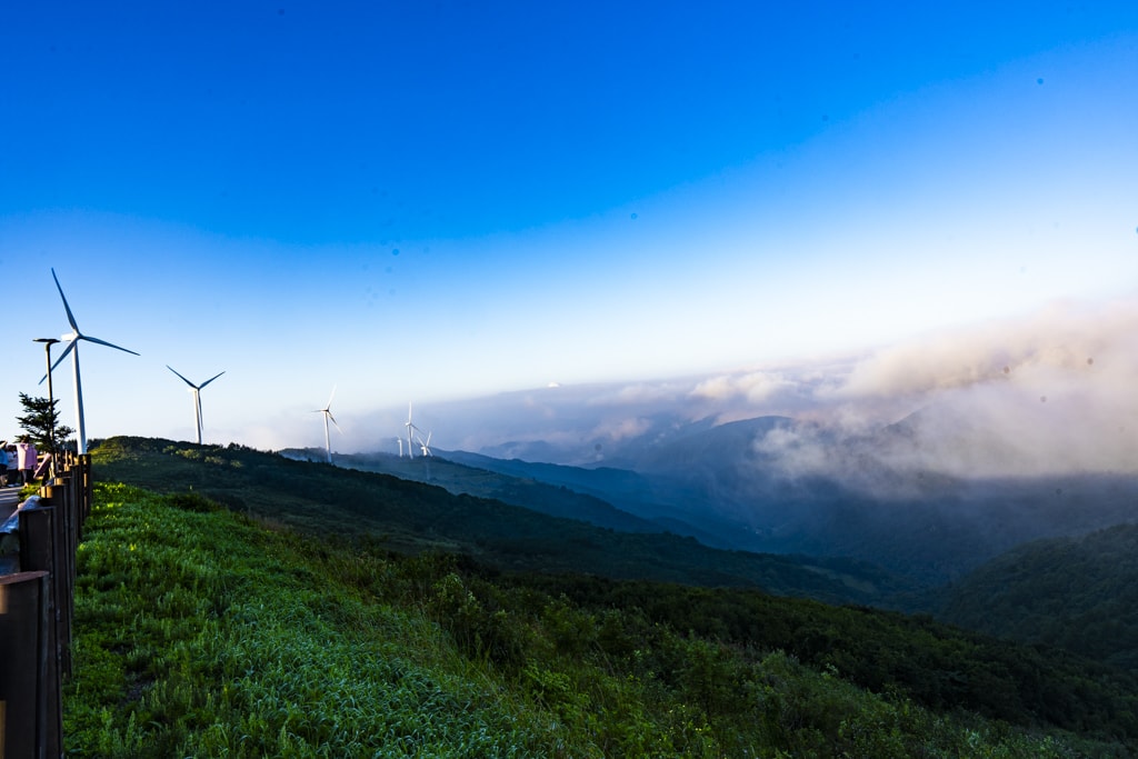환상적인 청옥산 육백마지기 아침 풍경을 담다 11