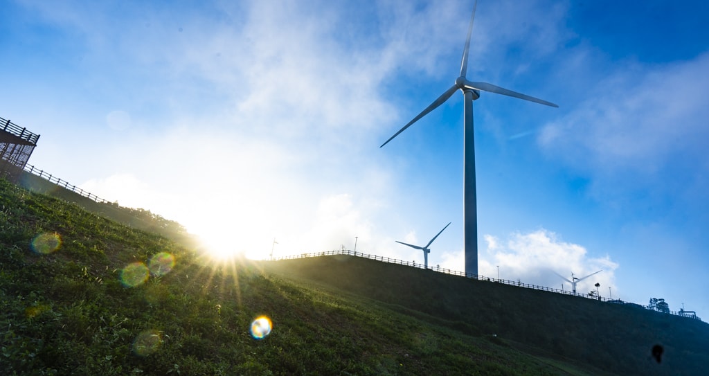 환상적인 청옥산 육백마지기 아침 풍경을 담다 12