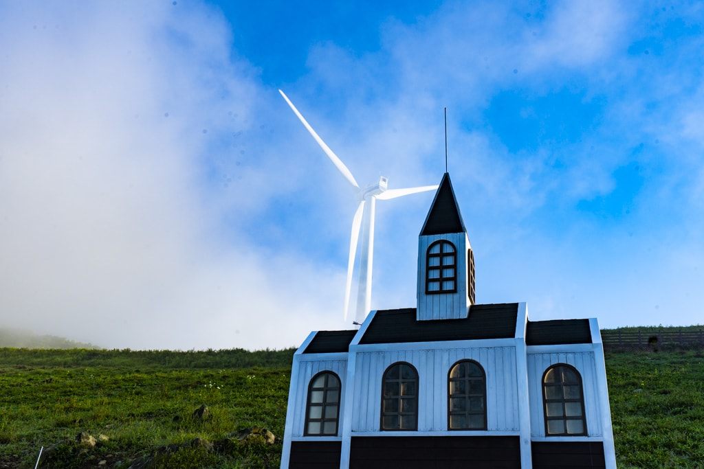 환상적인 청옥산 육백마지기 아침 풍경을 담다 14