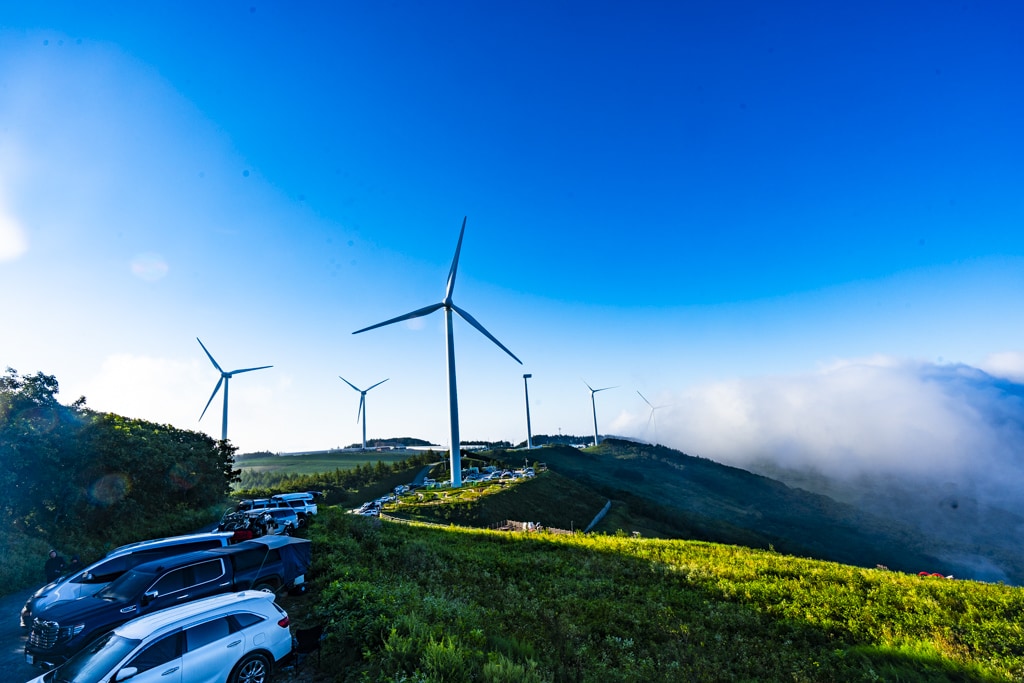 환상적인 청옥산 육백마지기 아침 풍경을 담다 21