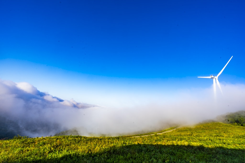 환상적인 청옥산 육백마지기 아침 풍경을 담다 13