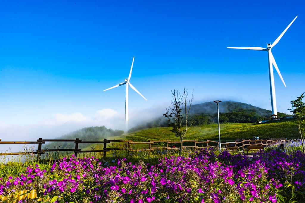 환상적인 청옥산 육백마지기 아침 풍경을 담다 19