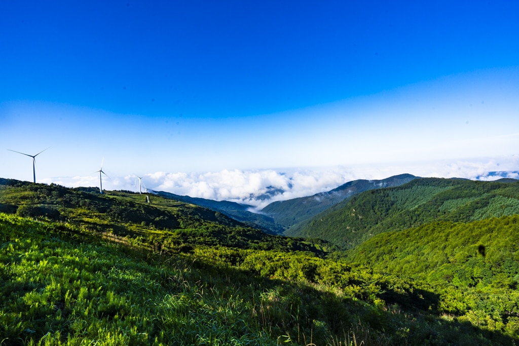 환상적인 청옥산 육백마지기 아침 풍경을 담다 10