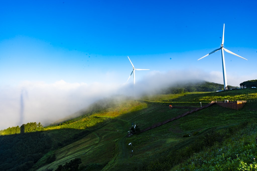강원 청옥산 육백마지기 아침 풍경