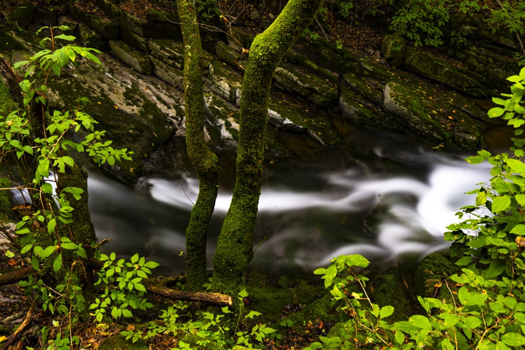 한강 발원지 태백 검룡소, 운치있는 곳으로 친구들과 산책삼아 다녀오기 좋은 곳 27