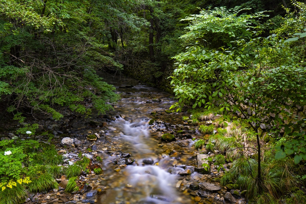 한강 발원지 태백 검룡소, 운치있는 곳으로 친구들과 산책삼아 다녀오기 좋은 곳 28