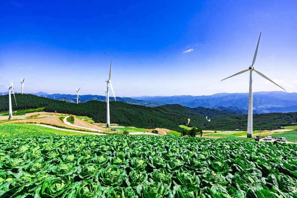 강원 태백 바람의 언덕 다녀온 이야기 8