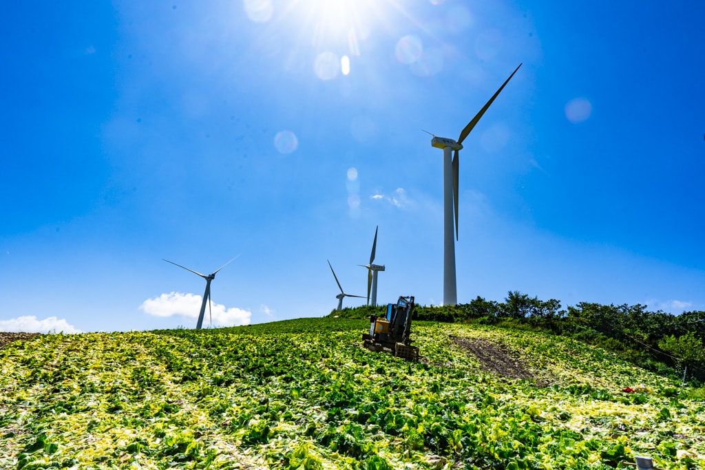 강원 태백 바람의 언덕 다녀온 이야기 9