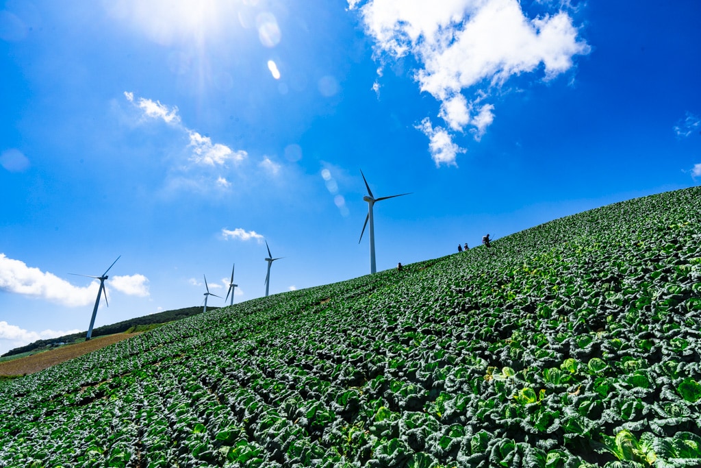 강원 태백 바람의 언덕 다녀온 이야기 5