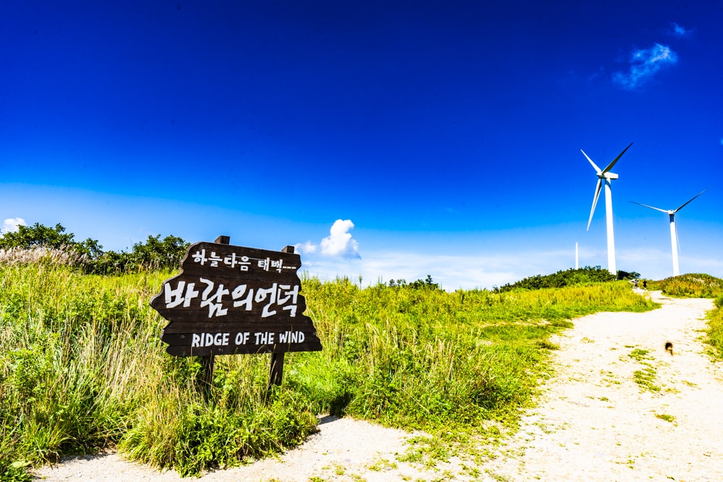 강원 태백 바람의 언덕 다녀온 이야기 3