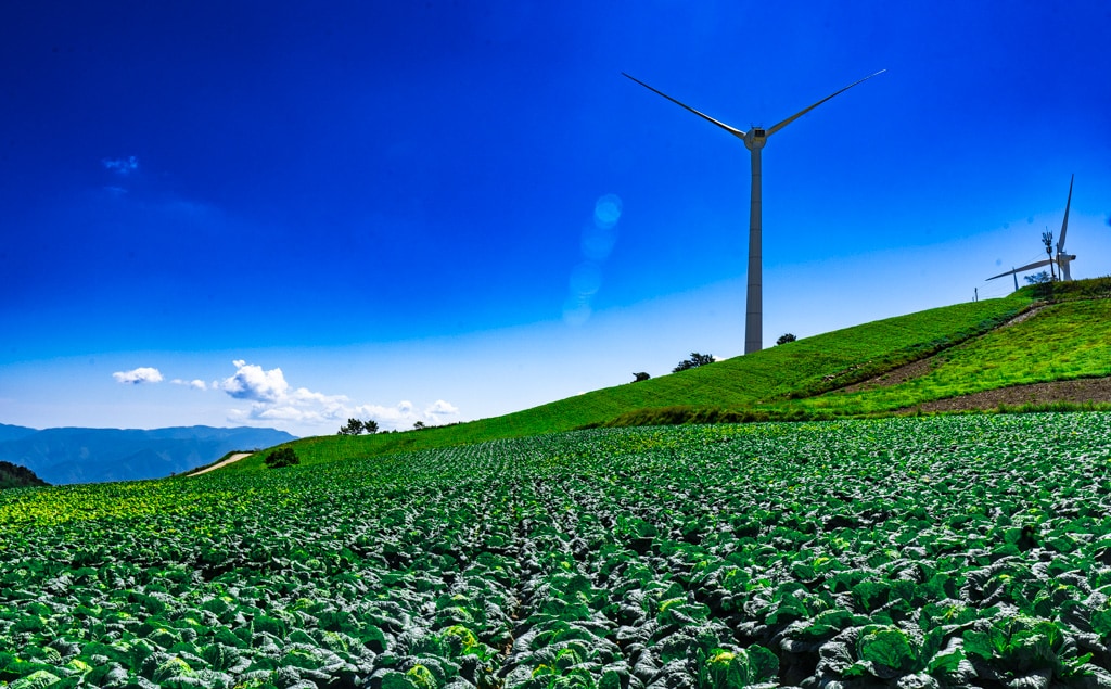 강원 태백 바람의 언덕 다녀온 이야기 6