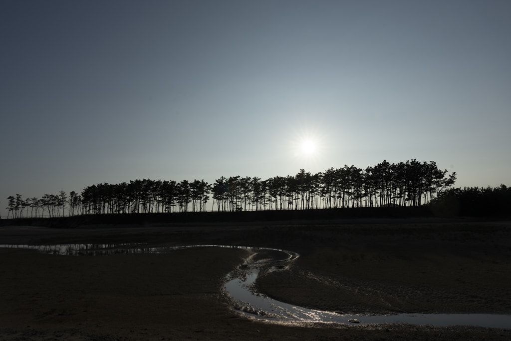 태안 운여해변 출사, 운여해변 솔밭 석양을 담다 1