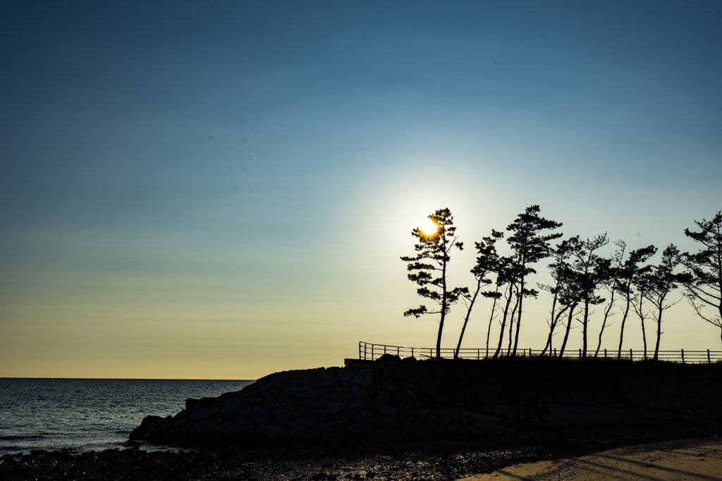 태안 운여해변 출사, 운여해변 솔밭 석양을 담다 2