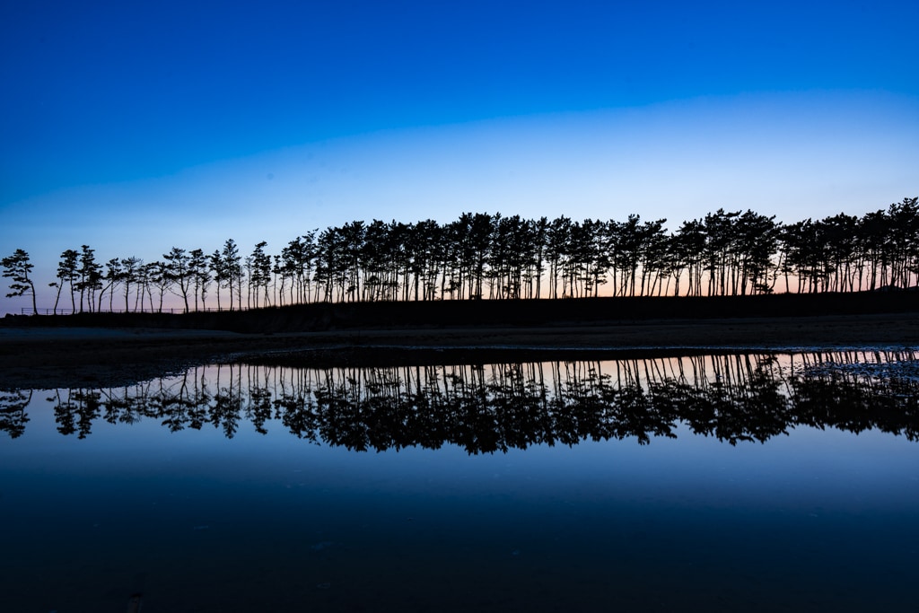 태안 운여해변 출사, 운여해변 솔밭 석양을 담다 5